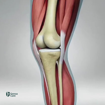 GenoaCare - Soulage les douleurs d'arthrose